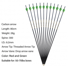 SPG Archery Pure Carbon Hunting Arrow Compound, Traditional, and  Recurve Bow, 300 Spine, 32 inch, I.D 6.2 mm, 3K Shaft, Plastic Feather, 50-75LB
